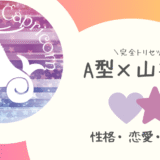 「A型×山羊座（やぎ座）」占い