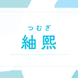 【紬熙／つむぎ】名前の意味は？～「熙」に込める願いは？キラキラネームで後悔？法改正後の戸籍まで徹底解説～